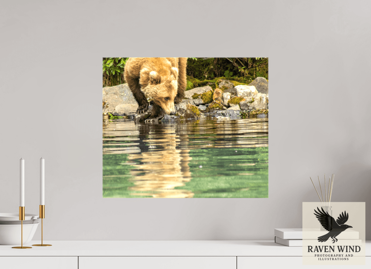 Raven Wind Photography & Illustrations-A Closer Look Fine Art Wildlife Print -