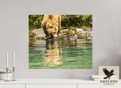 Raven Wind Photography & Illustrations-A Closer Look Fine Art Wildlife Print -