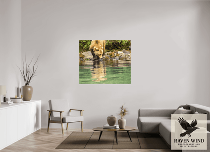 Raven Wind Photography & Illustrations-A Closer Look Fine Art Wildlife Print -