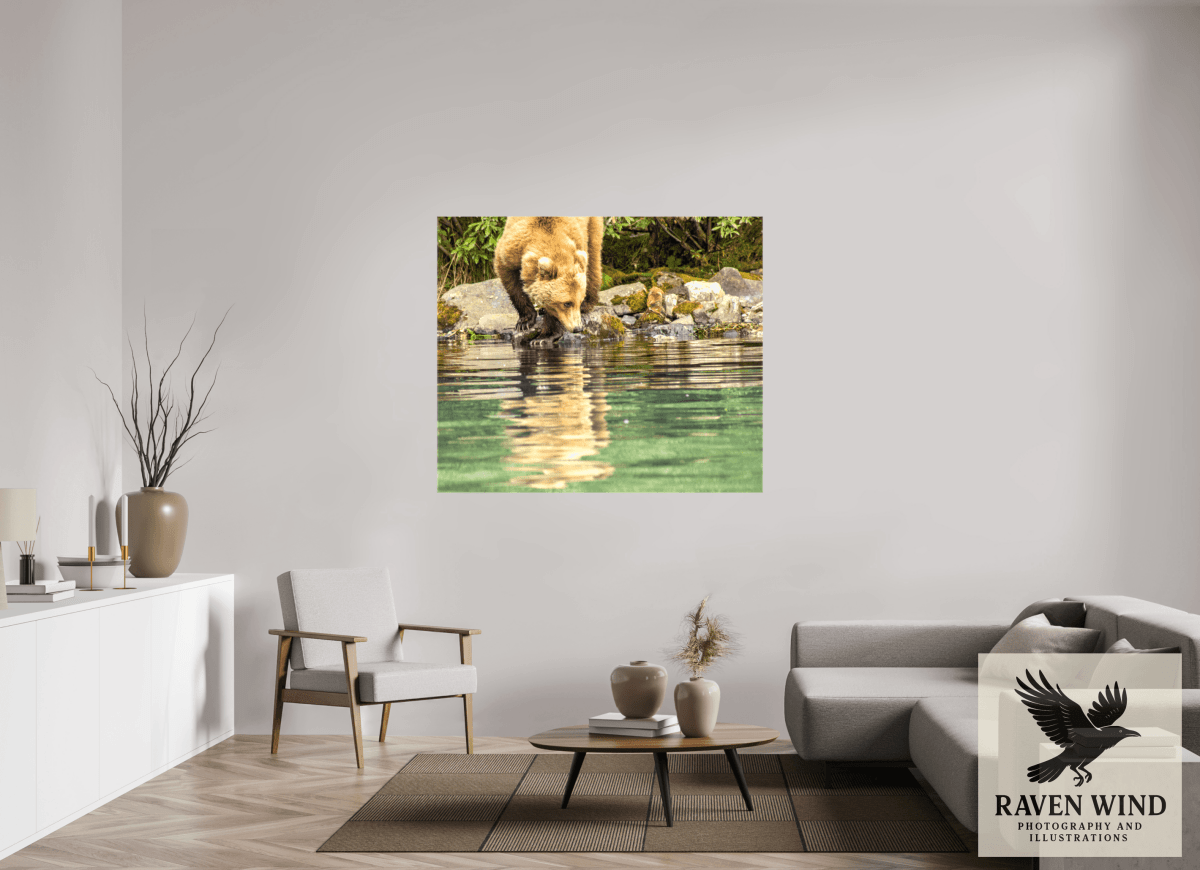 Raven Wind Photography & Illustrations-A Closer Look Fine Art Wildlife Print -