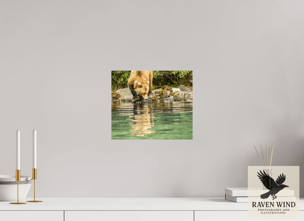 Raven Wind Photography & Illustrations-A Closer Look Fine Art Wildlife Print -