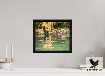 Raven Wind Photography & Illustrations-A Closer Look Fine Art Wildlife Print -