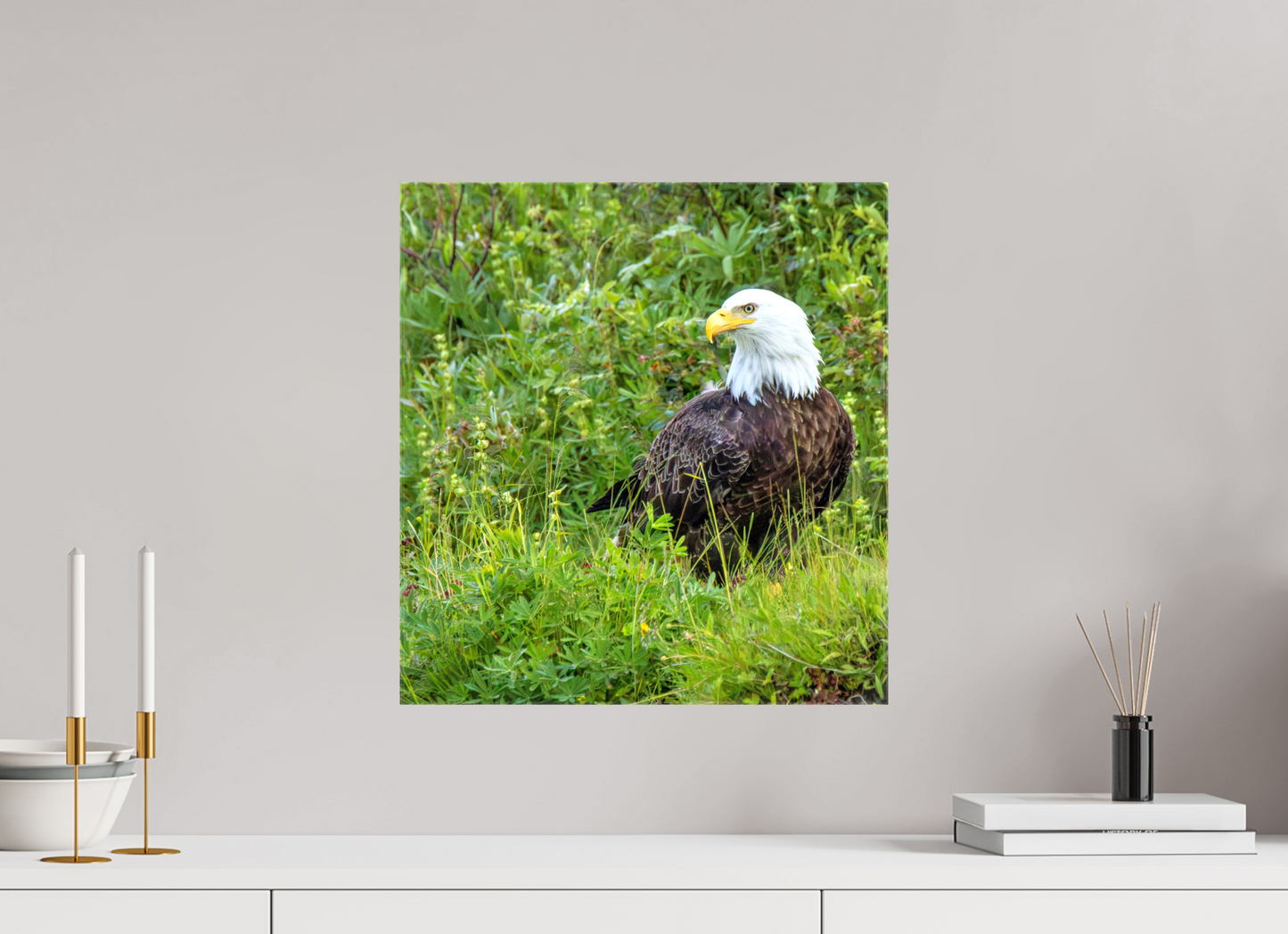 Grounded Majesty – Bald Eagle in Alaska’s Wilderness Nature Photography Print