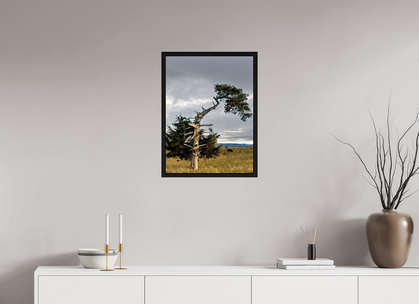18 x 24″, Floater Framed with Black Oak The Cedar That Weathered It All Nature Photography Print
