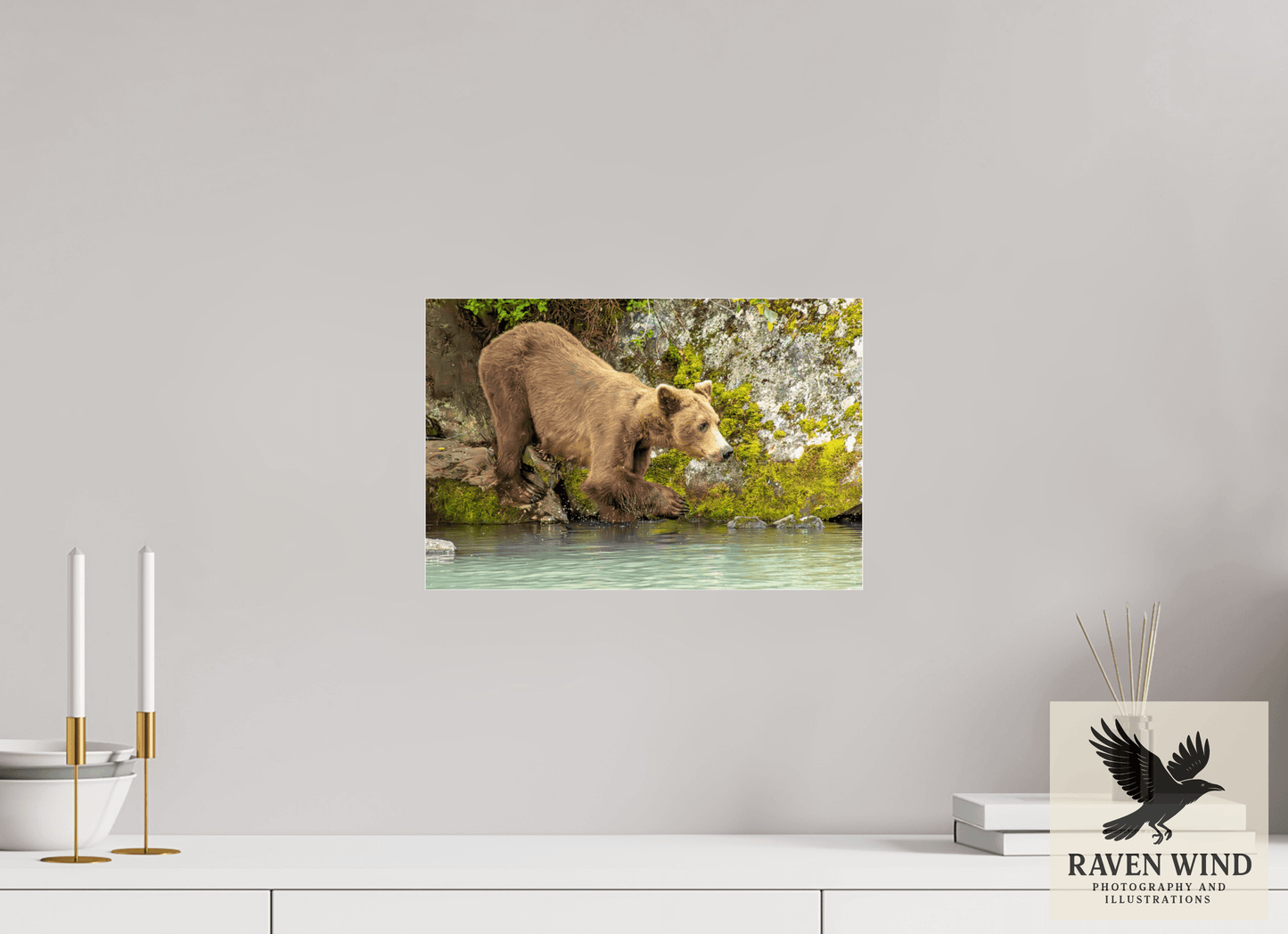 15 x 10″, Photo Print Under Acrylic Glass - ready to hang Testing the Waters Nature Photography Print