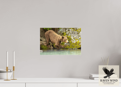 15 x 10″, Photo Print Under Acrylic Glass - ready to hang Testing the Waters Nature Photography Print