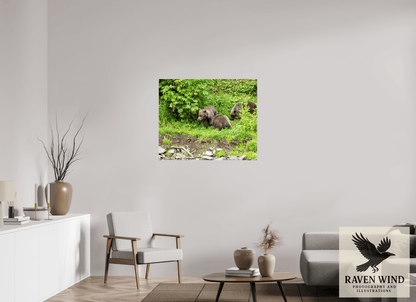 38.9 x 32″, Fine Art Print on Photo Rag Baryta - unframed (email for frame options) Brown Bear Triplets Nature Photography Print