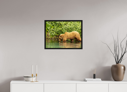 Fishing Takes Patience Nature Photography Print