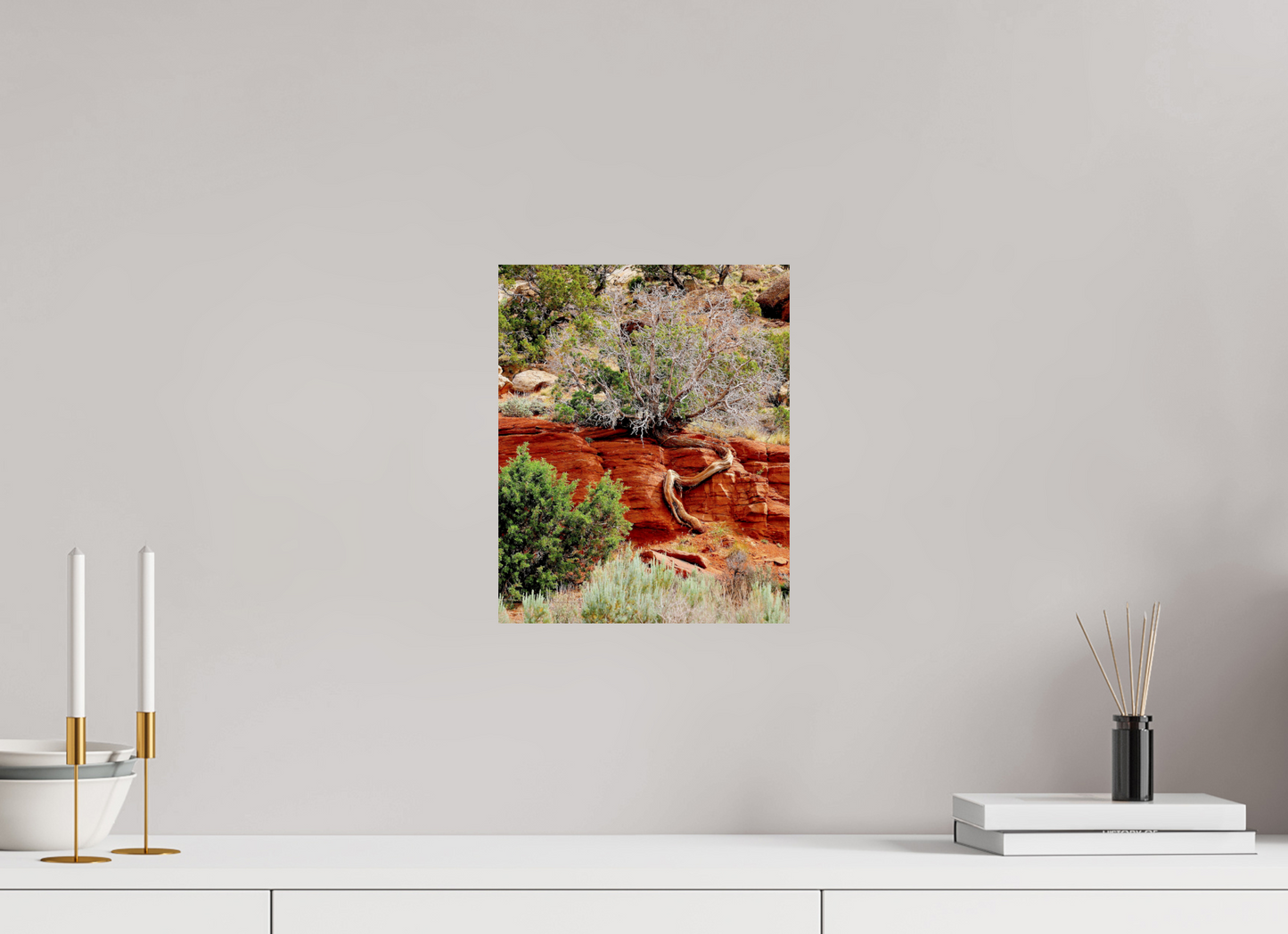 Resilient Roots – Twisted Tree in Red Rock Desert Fine Art Print