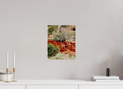 Resilient Roots – Twisted Tree in Red Rock Desert Fine Art Print