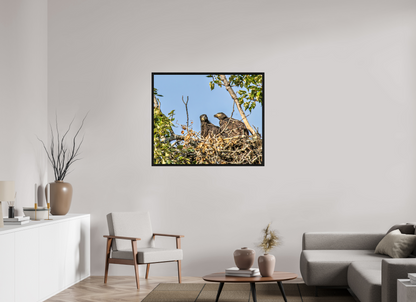 Nestmates – Young Eagles in a Woodland Home – Nature Photography Print