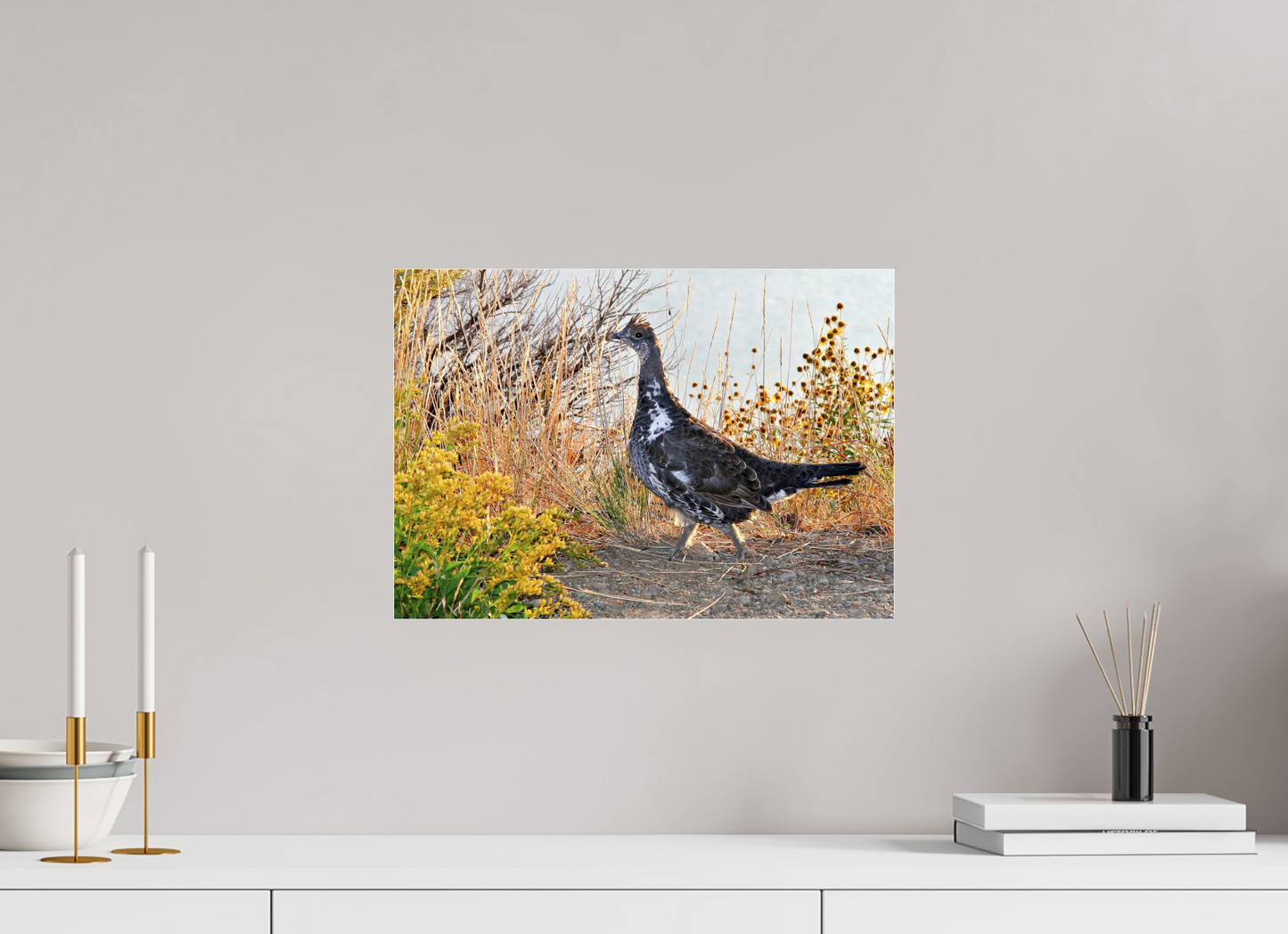 Grounded Grace – Fine Art Print of a Wild Grouse