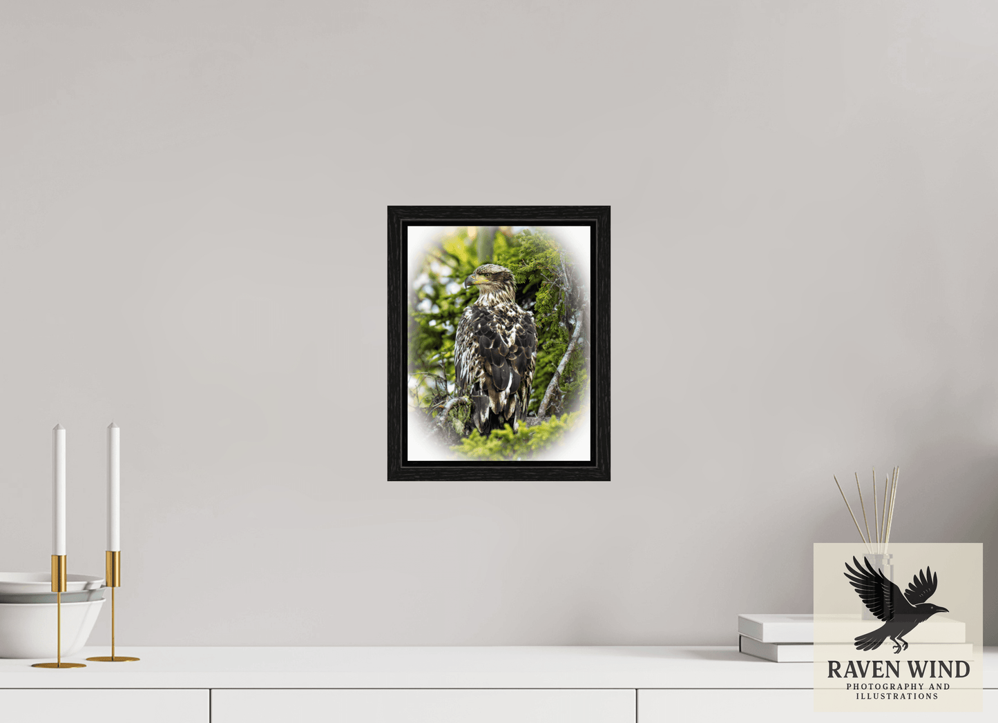 8 x 10.3″, Floater Frame -black oak frame - ready to hang Forest Watch - Young Eagle Among the Pines Nature Photography Print