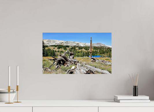 Standing Bear Tree – Bear Lake, Colorado