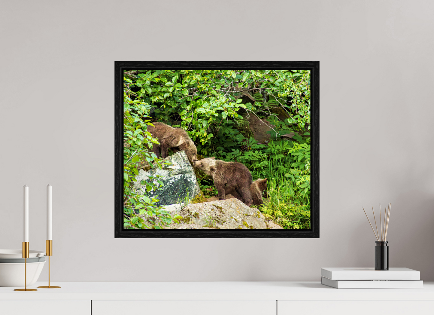 'Kissing" Bear Cubs
