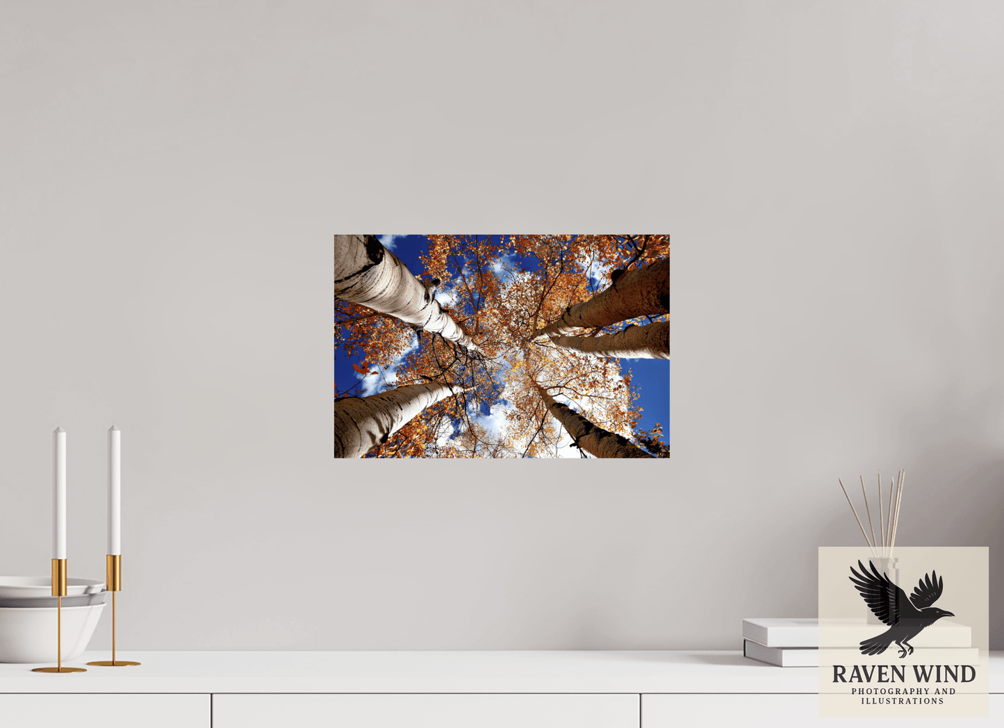 15 x 10″, Photo Print On Fuji Crystal DP II - unframed Reaching for the Sky - Aspens in the Fall Nature Photography Print