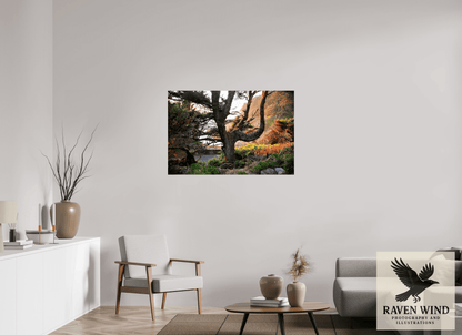 45 x 30″, Photo Print On Fuji Crystal DP II - unframed Sunset Glow Fine Art Nature Photography Print