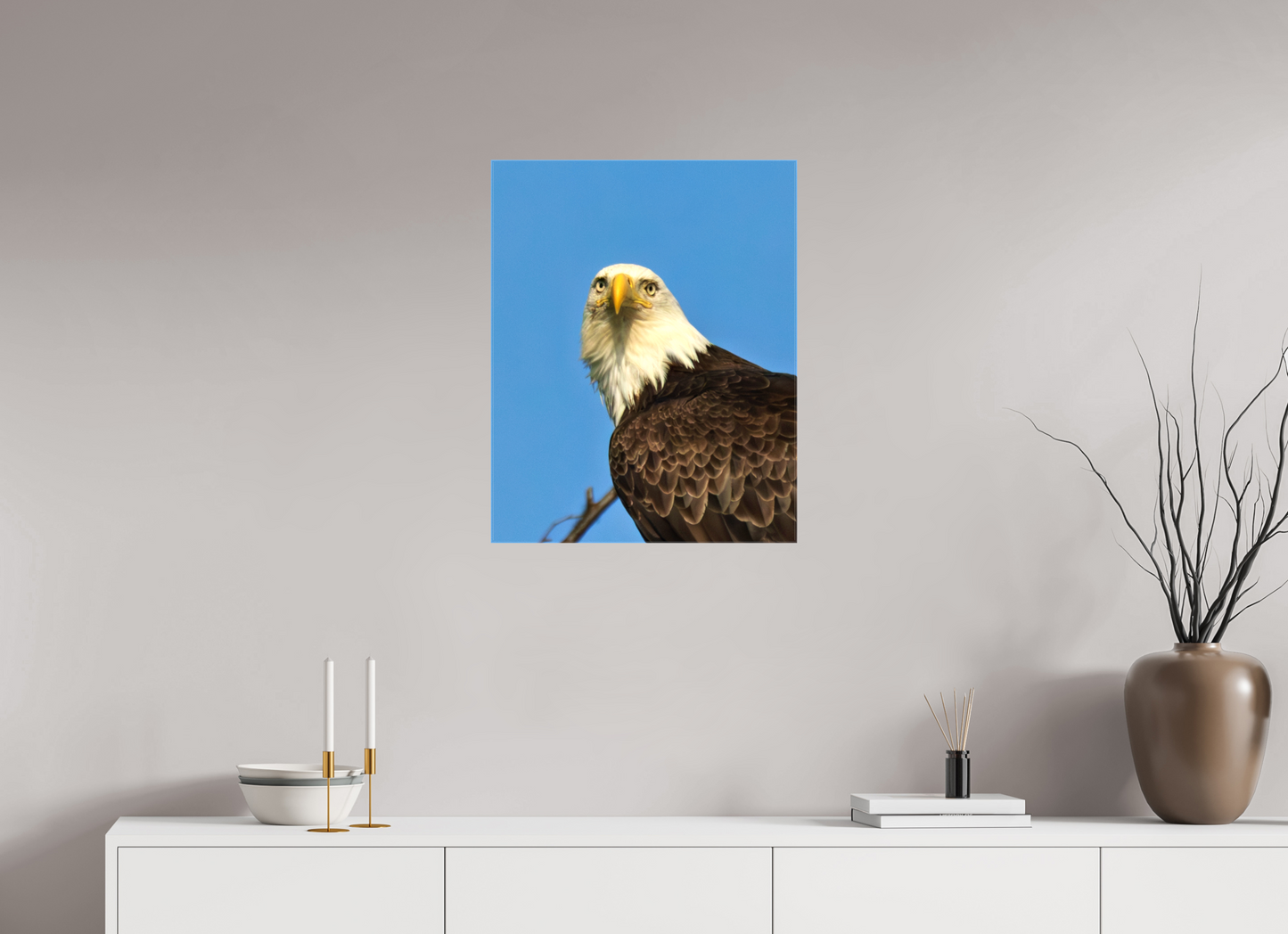 Eyes of the Wild – Bald Eagle in Alaska’s Wilderness Nature Photography Print