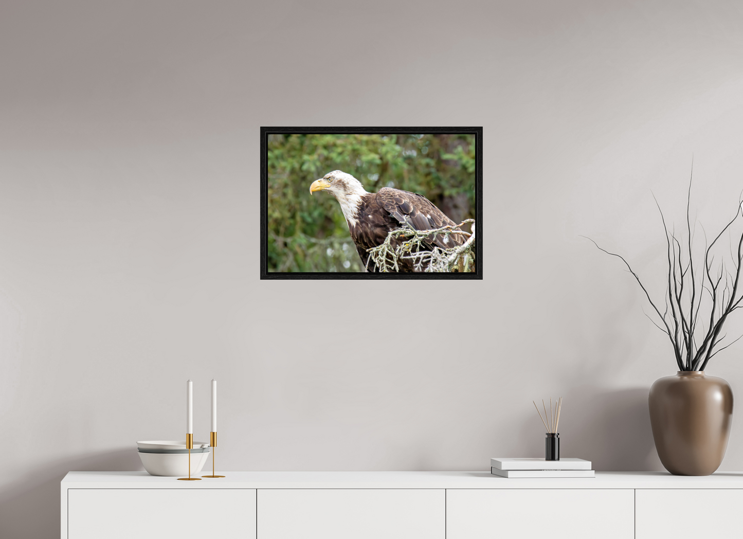 Majestic Watch – Bald Eagle on the Kenai Peninsula Nature Photography Print