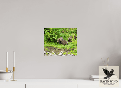12.2 x 10″, Fine Art Print on Pearl Texture - unframed (email for frame options) Brown Bear Triplets Nature Photography Print