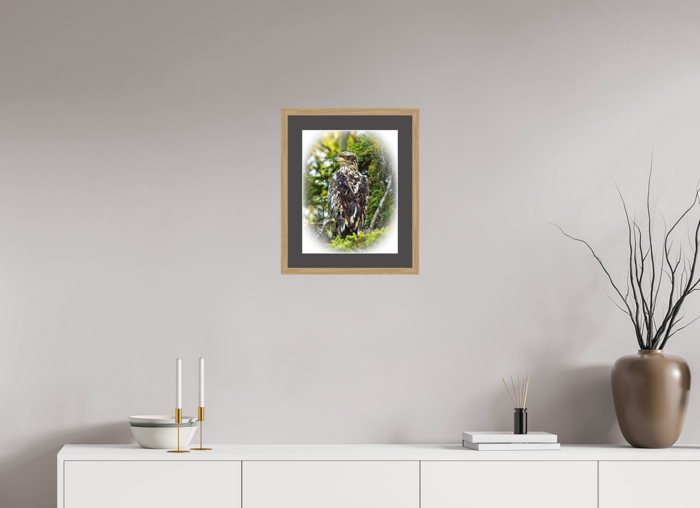 Forest Watch – Young Eagle Among the Pines Nature Photography Print