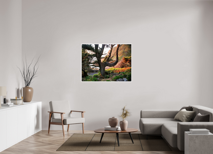 Sunset Glow Fine Art Nature Photography Print