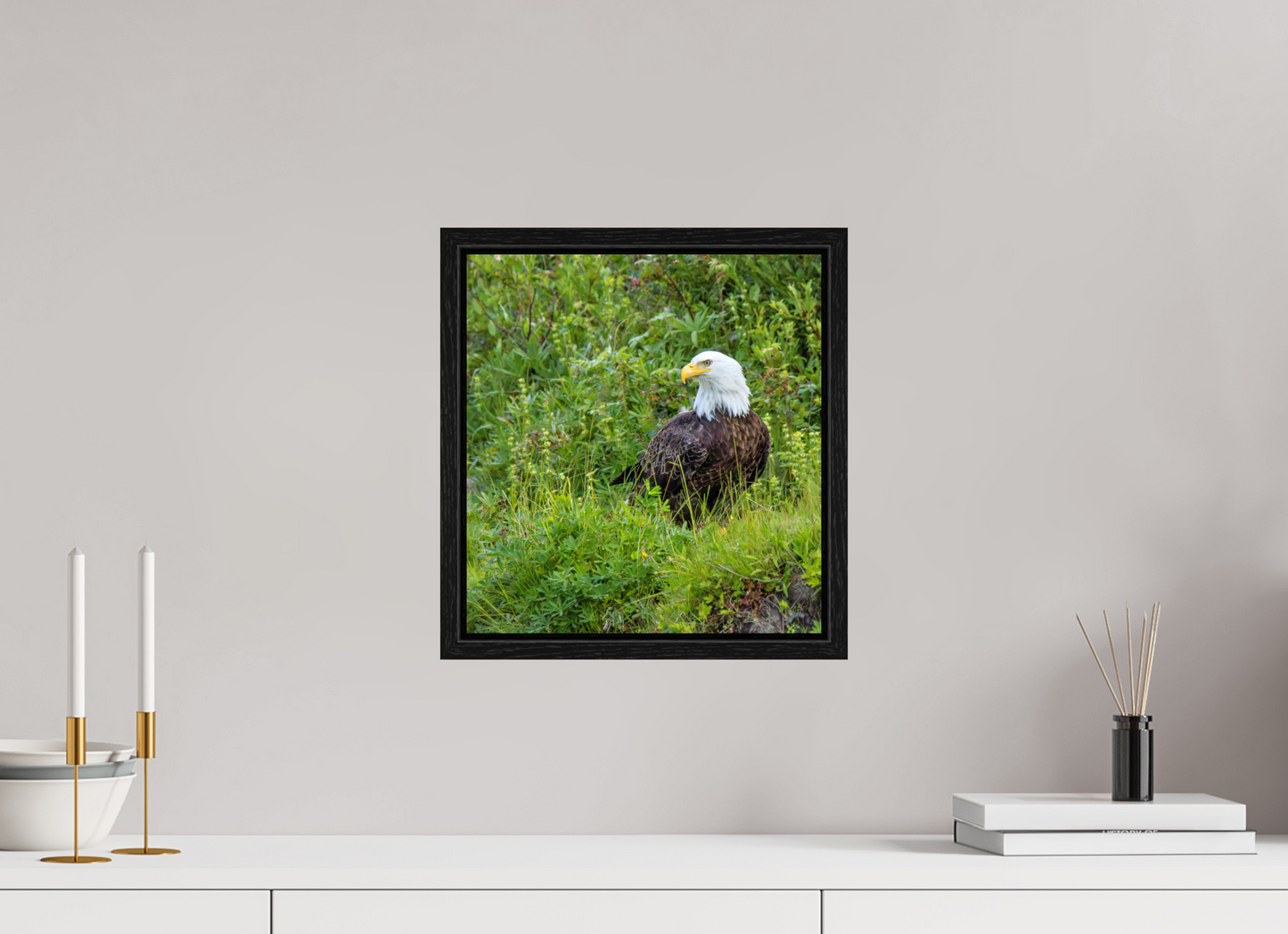 Grounded Majesty – Bald Eagle in Alaska’s Wilderness Nature Photography Print