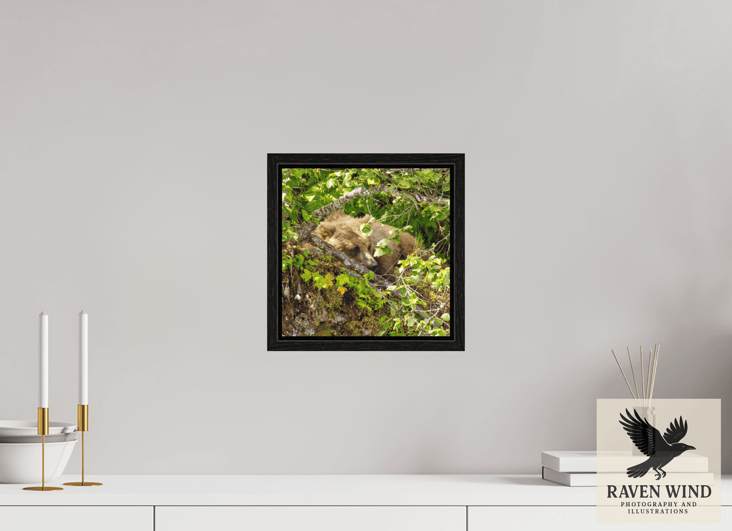 10 x 10″, Floater Frame - black oak frame - ready to hang Hide and Peek Nature Photography Print