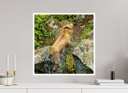The Shake Nature Photography Print