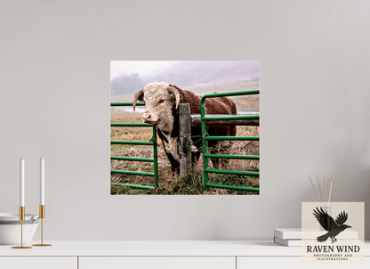 17.8 x 16″, Print Under Acrylic Glass - Ready to hang - not framed The Honor System Nature Photography Print