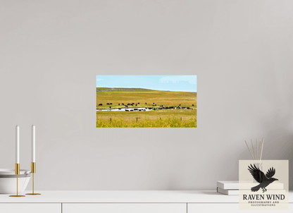 15.4 x 8″, Photo Print On Fuji Crystal DP II - unframed Gathering at Mule Creek Nature Photography Print