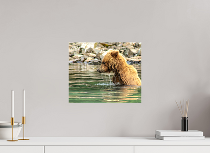 Eye on the Prize Nature Photography Print