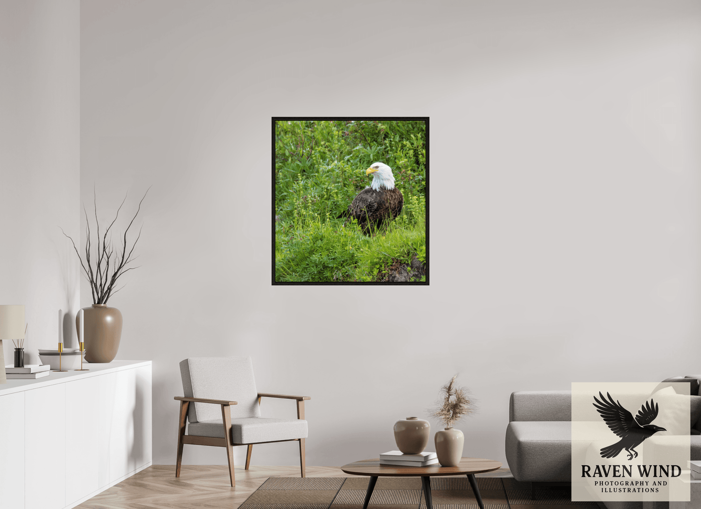35 x 37.4″, Floater Frame - black oak frame - ready to hang Grounded Majesty - Alaskan Bald Eagle Nature Photography Print
