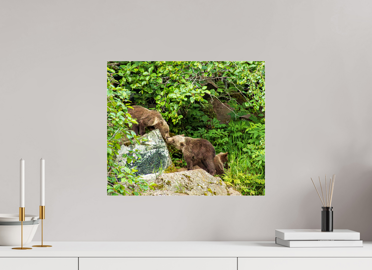 'Kissing" Bear Cubs