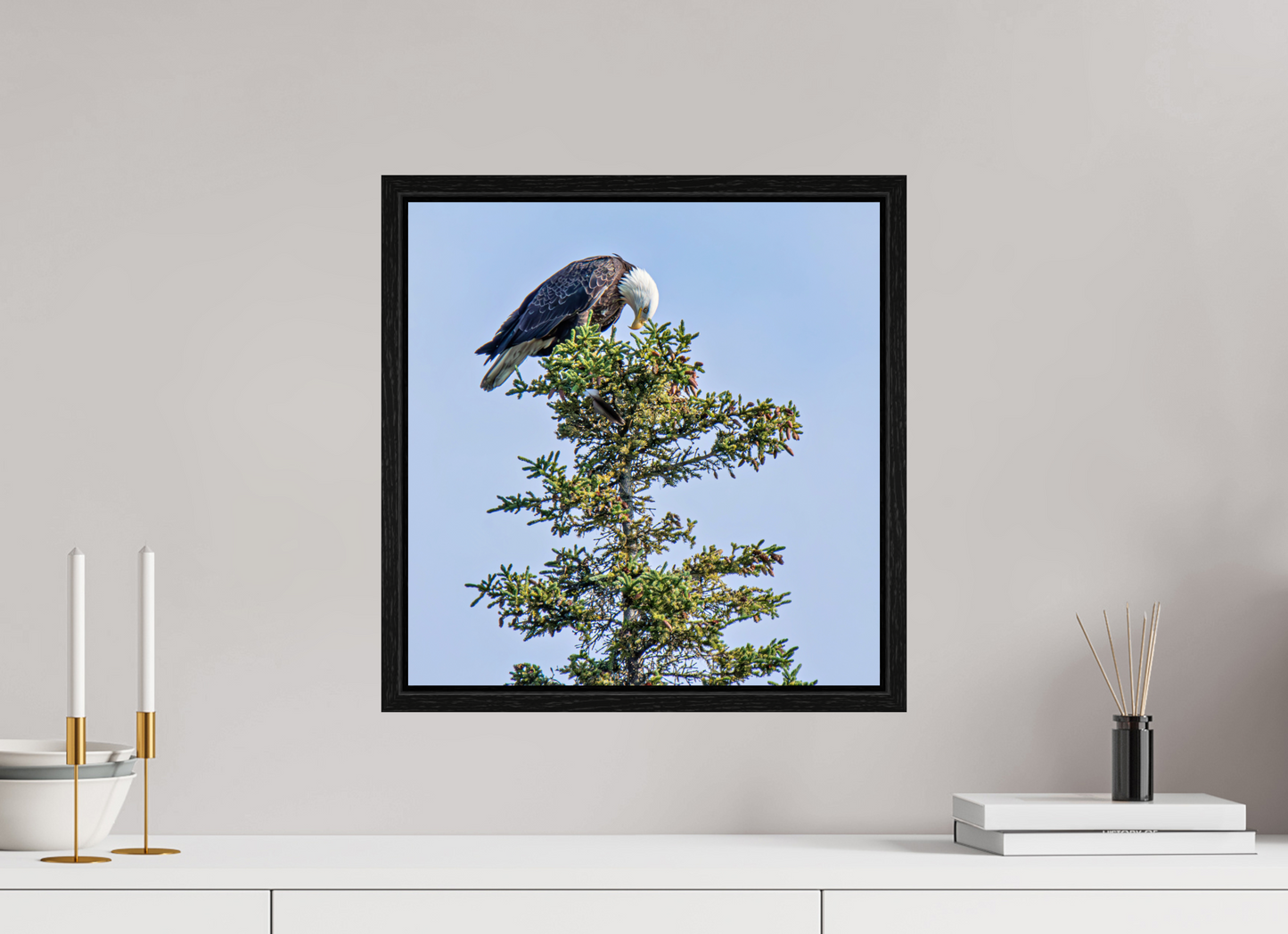 Silent Sentinel – Bald Eagle in Alaska’s Pines Nature Photography Print