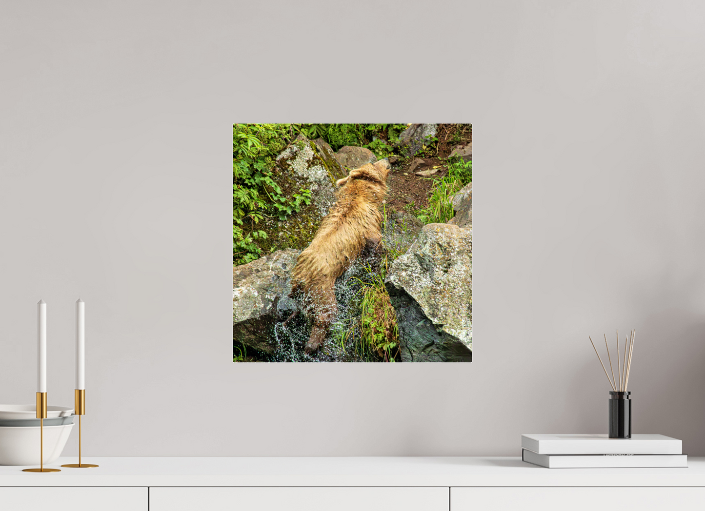 The Shake Nature Photography Print
