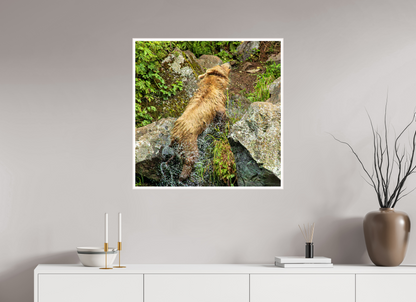 The Shake Nature Photography Print