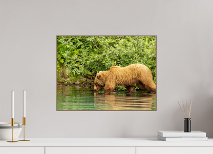 Fishing Takes Patience Nature Photography Print
