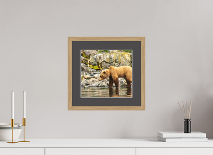Looking for Dinner Nature Photography Print
