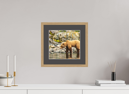 Looking for Dinner Nature Photography Print