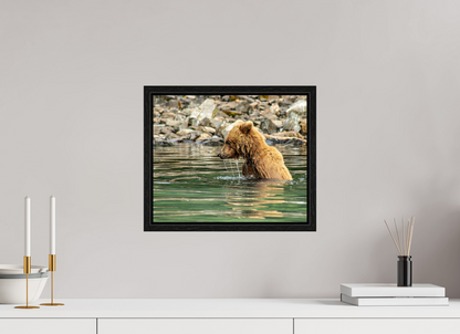 Eye on the Prize Nature Photography Print