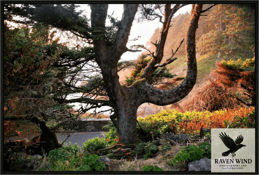 Main image Sunset Glow Fine Art Nature Photography Print