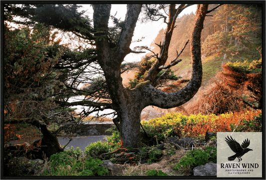 Main image Sunset Glow Fine Art Nature Photography Print