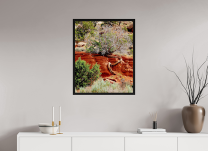 Resilient Roots – Twisted Tree in Red Rock Desert Fine Art Print