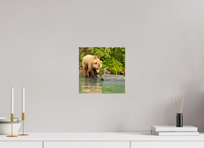 That's a miss! Nature Photography Print
