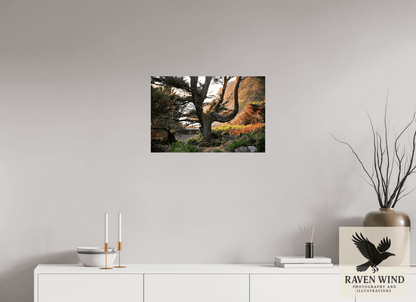 24 x 16″, Fine Art Print on Photo Rag Baryta - unframed (email for frame options) Sunset Glow Fine Art Nature Photography Print