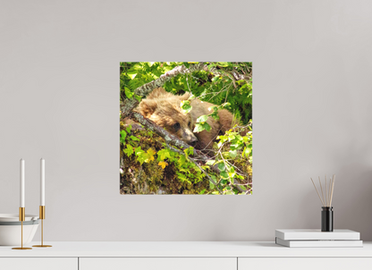 Hide and Peek Nature Photography Print