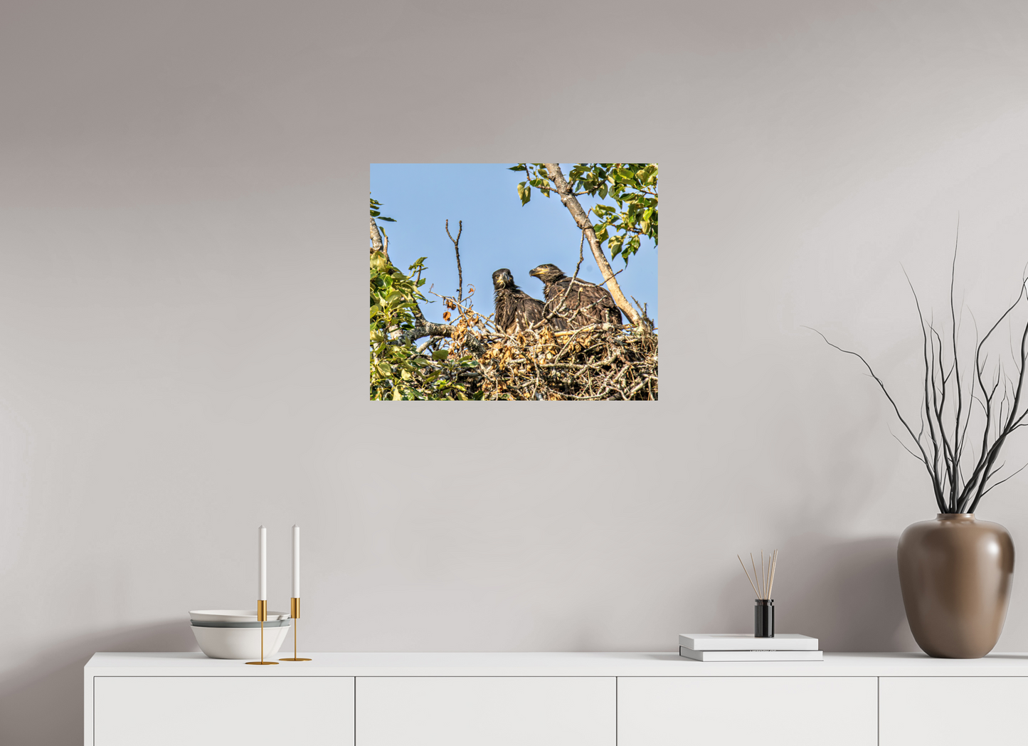 Nestmates – Young Eagles in a Woodland Home – Nature Photography Print