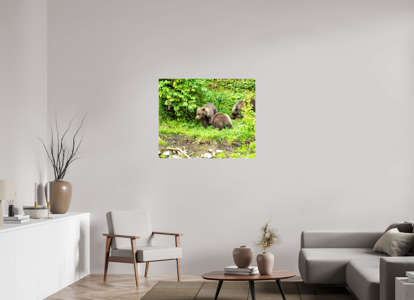 Brown Bear Triplets