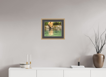 A Closer Look Nature Photography Print